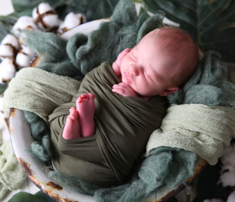 Soft green s themed photo shoot for your newborn by Jayne poole Photography, at our studion near Barnstaple, Bideford, Okehampton, Holsworthy, to book phone 01805 622353