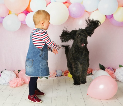 Toddler photographer Jayne Poole Photography based in North Devon near Barnstaple, South Molton, Bideford, Okehampton, Holsworty, Northam, Appledore with the family dog