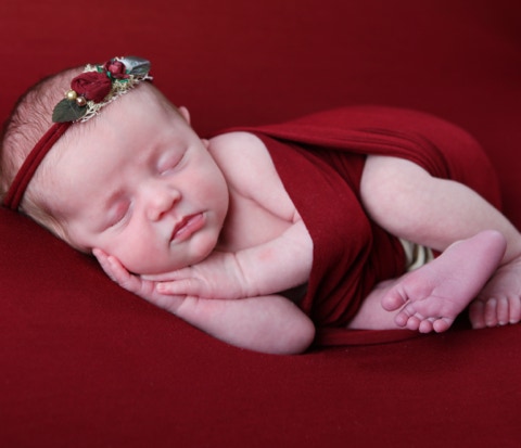 Red, Burgandy newborn themed photoshoot by Jayne poole Photography, based in Great Torrington North Devon. New born photo shoot.